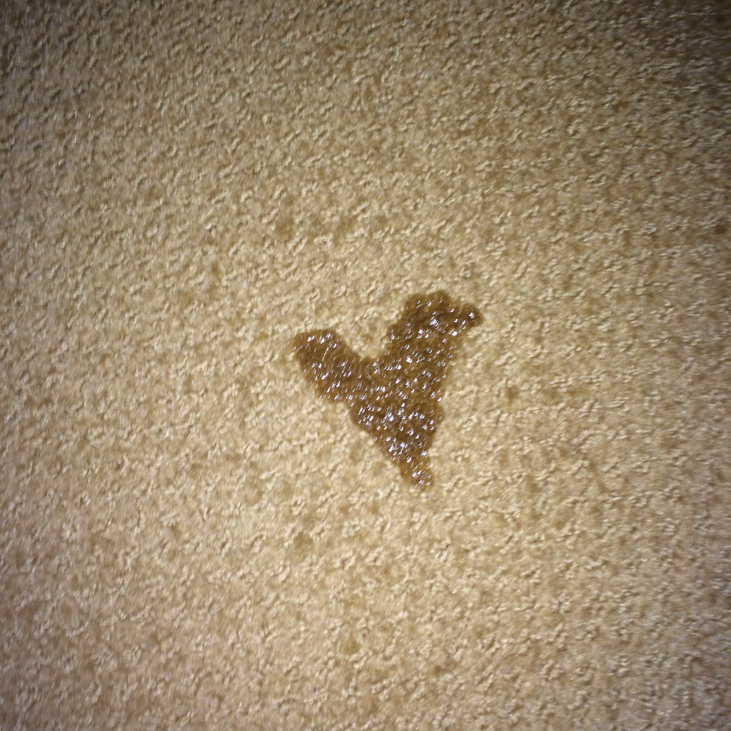 You know how all those Missy McPerfects brag on Facebook about their perfect kiddos? Well, I apologize but I'm gonna join them for a moment. My kid doesn't just say I love you, he pees it in a heart shape on the carpet. Try not to be jealous.