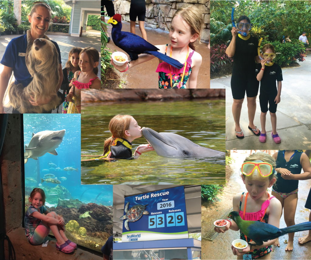 SeaWorldCollage