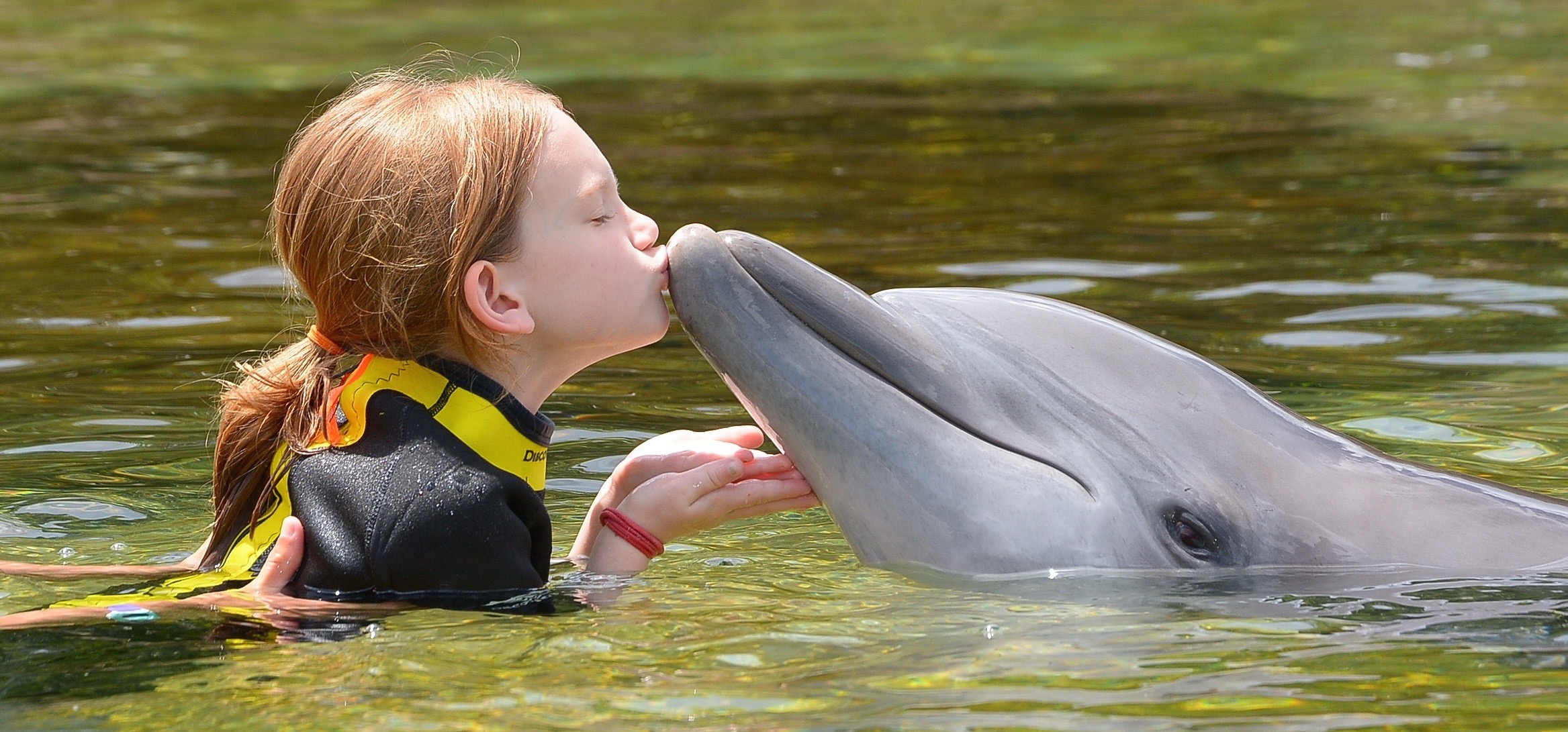 Sea World is making the world a better place. Yes, I said that.