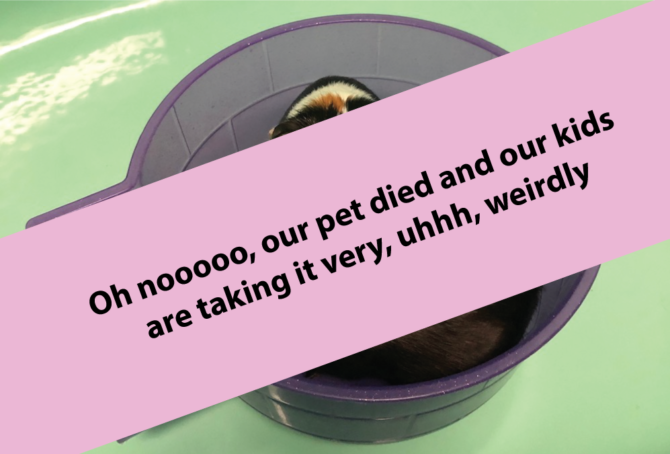 Oh nooooo, our pet died and the kids are taking it very, uhhh, weirdly