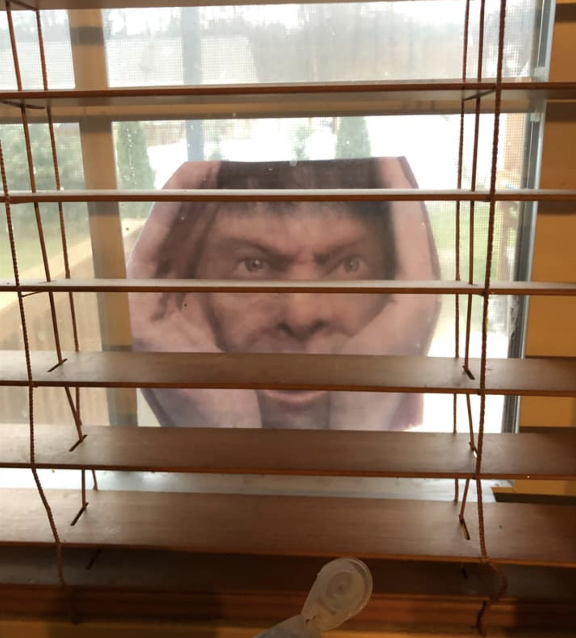 Face in window April Fools Day prank