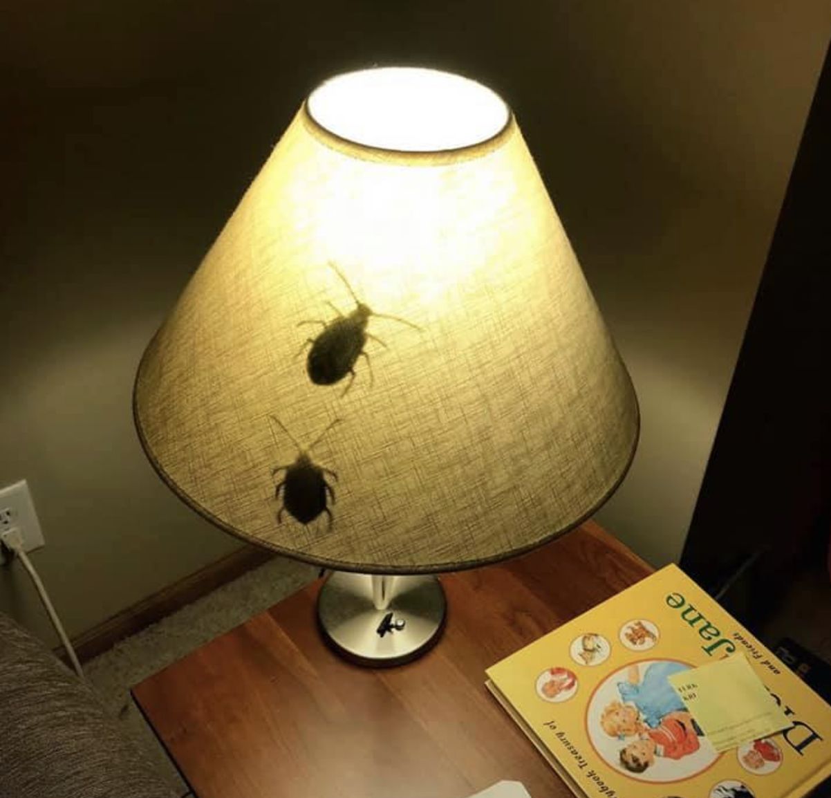 Lamp with bugs April Fools Day prank